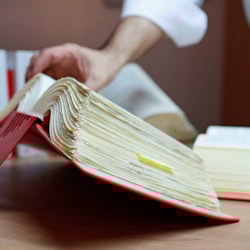 Geldwäsche und Steuerberater, Wirtschaftsstrafrecht