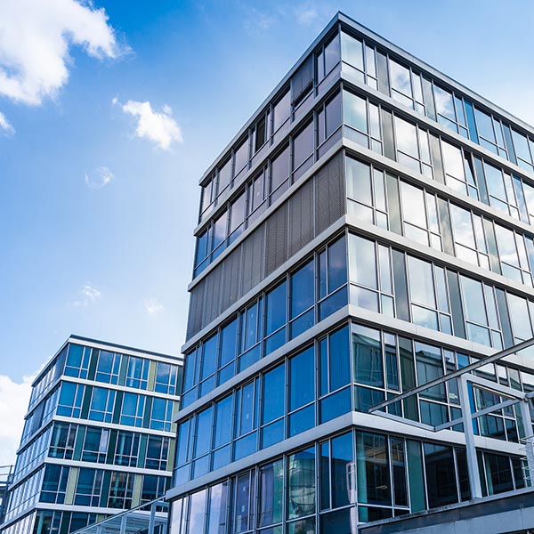 Unternehmen und Strafrecht